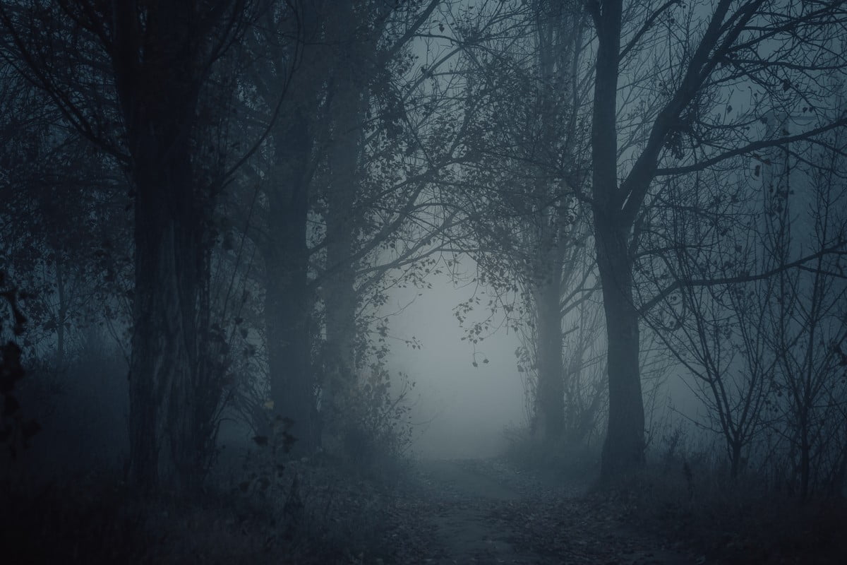 Ballybolley Forest Haunted
