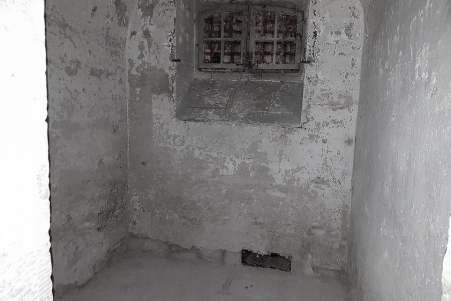 cell interior
